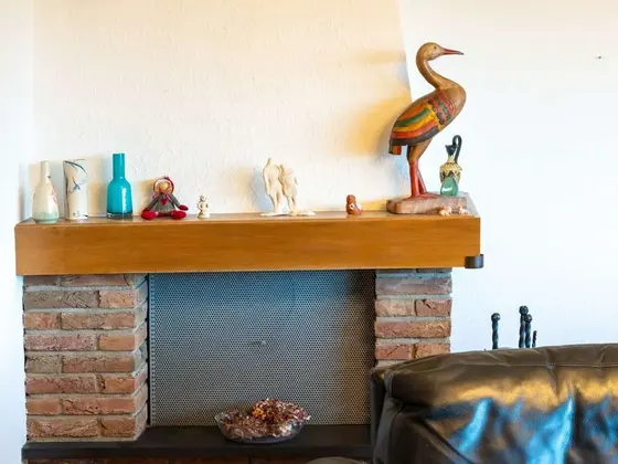 EG Kamin