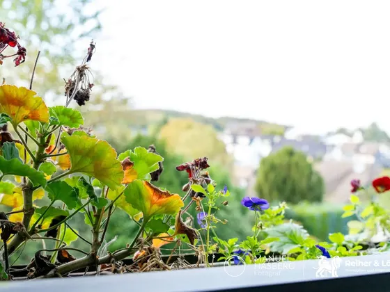 EG Balkon Blumenkasten mit Ausblick